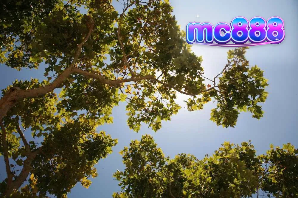 Mesin slot modern dengan layar besar di lingkungan kasino mewah